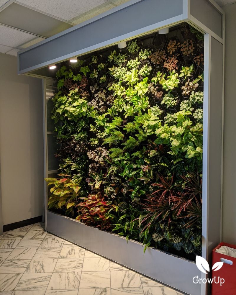 Colorful Living Wall