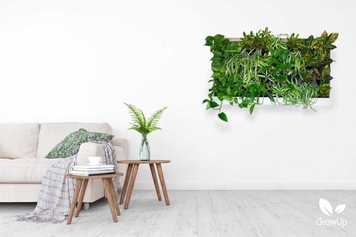 living wall 