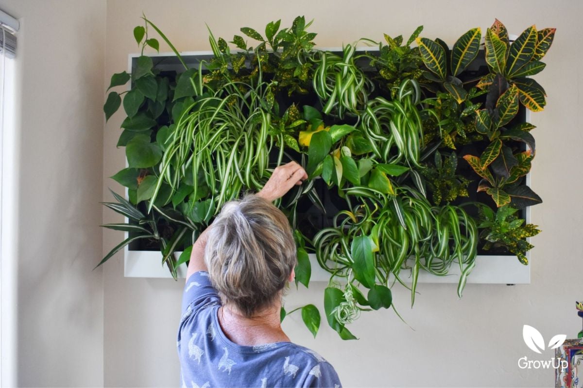 living wall 