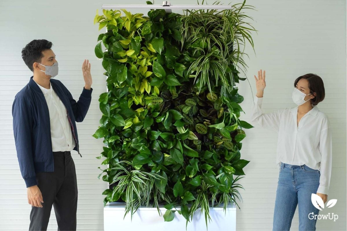 green wall