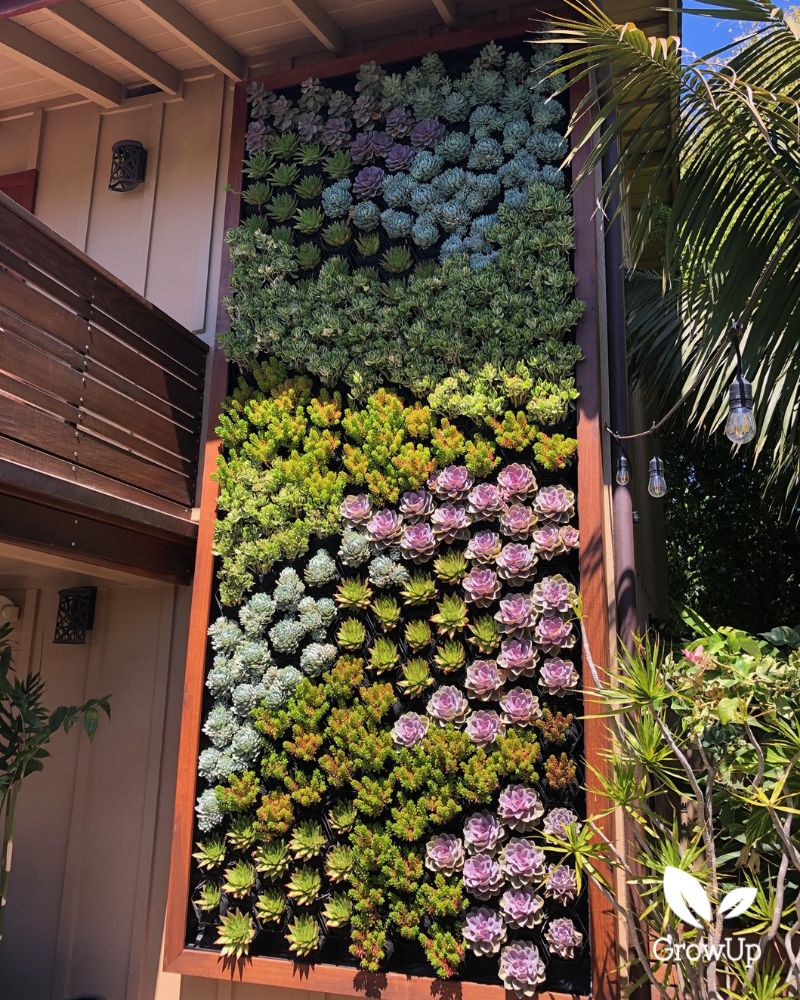 Green wall 