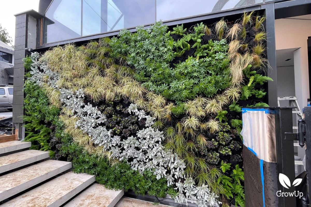 Living wall 