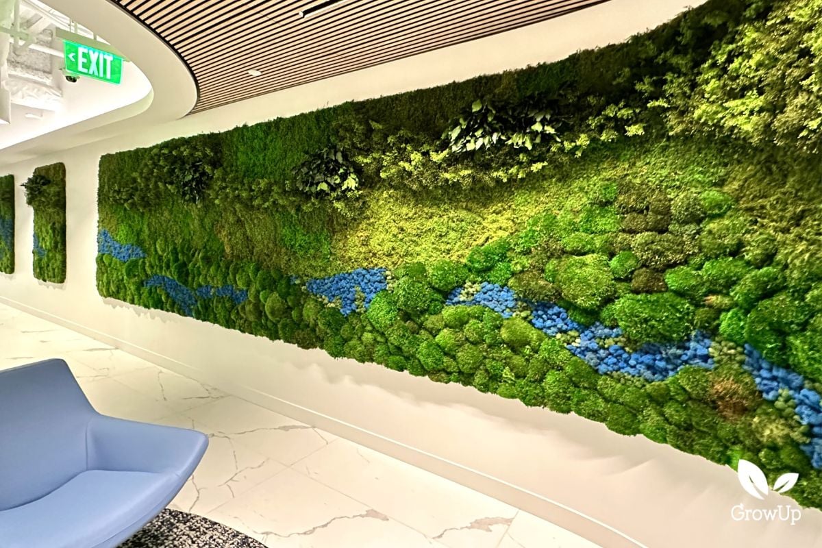 Indoor Moss Wall