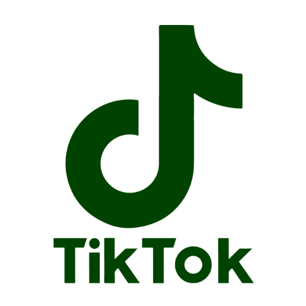 tik tok logo
