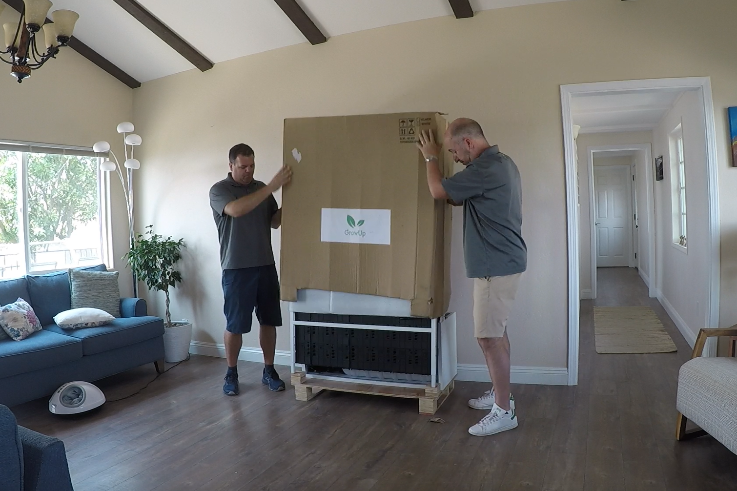 unpacking a medium indoor living green wall