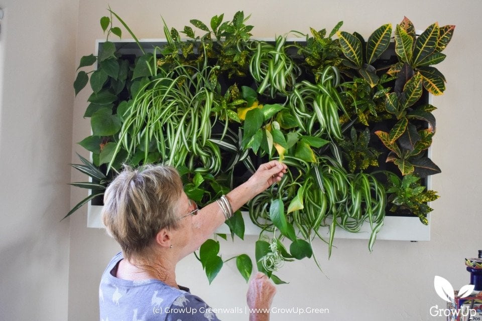 indoor small living wall 